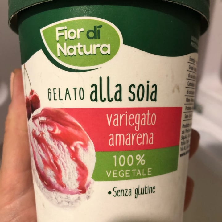review photo of Fior di Natura Gelato Alla Soia Variegato Amarena shared by @biasssnicole on 17 May 2022 - review