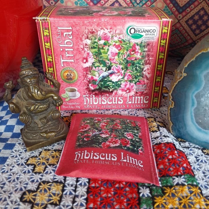 photo of Chás Tribal  Hibicus Lime shared by @minespab on  19 Jun 2022 - review
