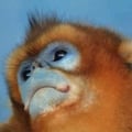 @wguadz profile image