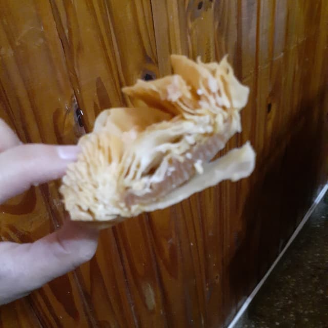 Photo of the dish “Pastelitos”