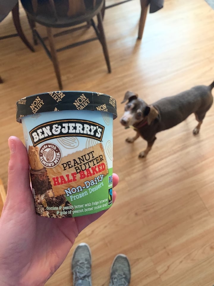 photo of Ben & Jerry's Peanut Butter Half Baked Non-Dairy Frozen Dessert shared by @katievalentine on  23 Dec 2019 - review