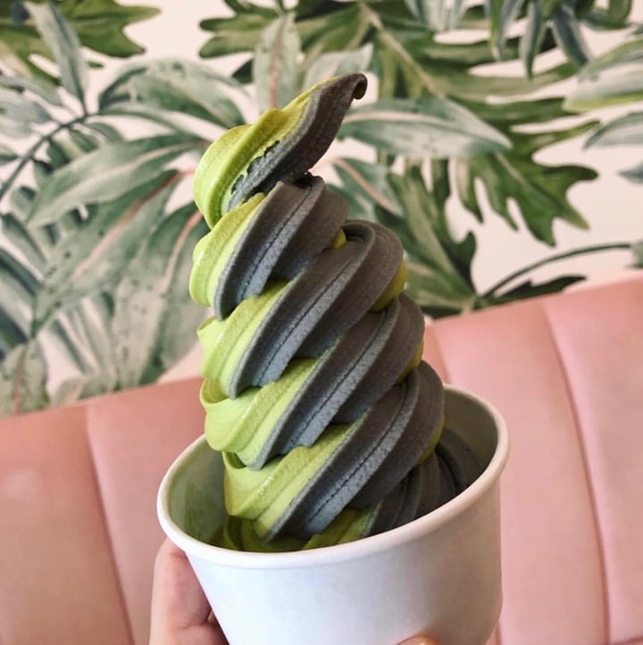 photo of Holy Matcha Charcoal Green Tea Ice Cream shared by @veganfunhouse on  29 Jun 2019 - review