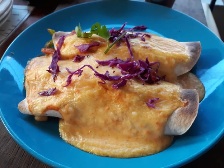 photo of The Fat Cactus Gardens Bean Enchiladas with vegan cheese shared by @clint100 on  28 Aug 2019 - review