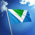 @manelopes profile image