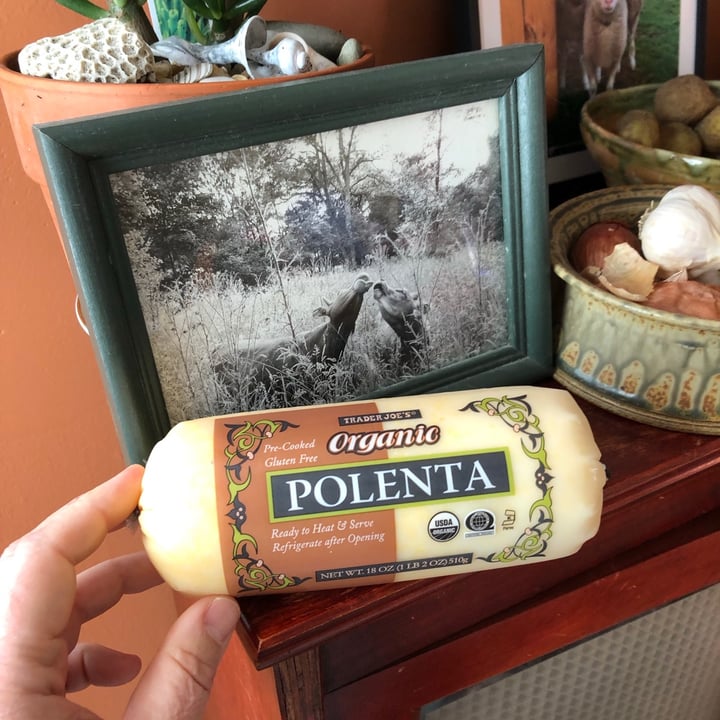 photo of Trader Joe's Organic Polenta shared by @allycat38 on  31 Oct 2021 - review