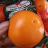 Arancia Rossa