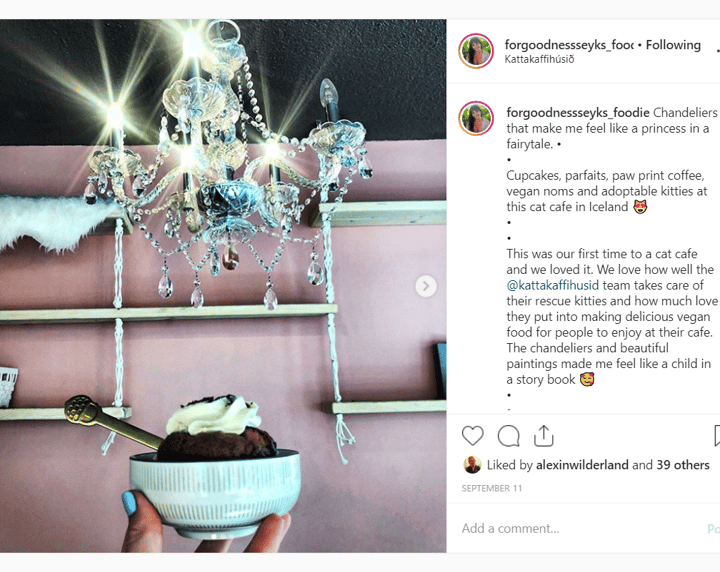 review photo of Kattakaffihúsið Vegan Menu Sampling shared by @forgoodnessseyks on 31 Oct 2019 - review