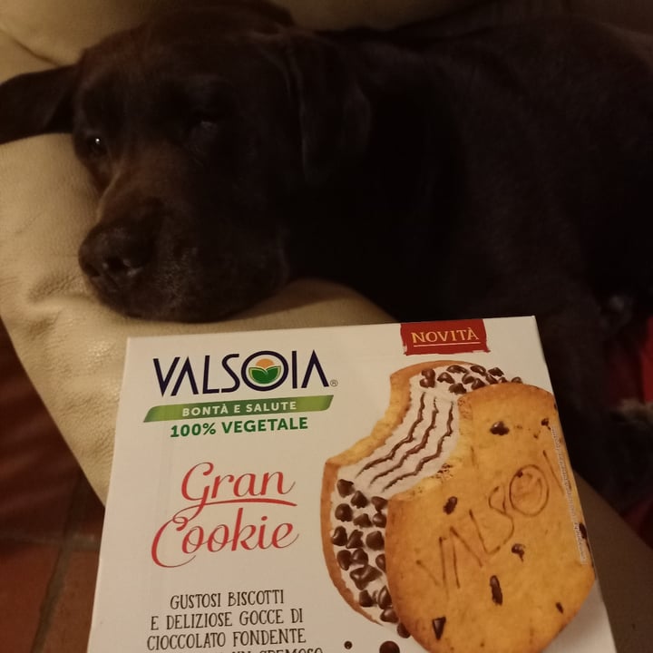 photo of Valsoia Gran cookie shared by @raffa70s70 on  07 May 2021 - review