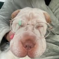 marialopezzglez @marialopezzglez profile image