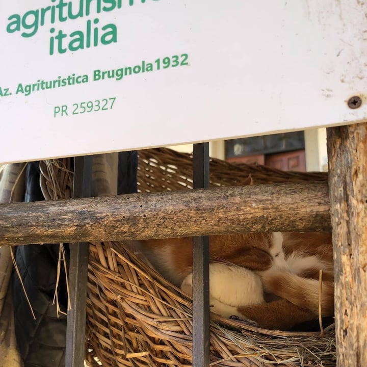 review photo of Brugnola1932 Vegan Country House Risotto Alle viole shared by @cristina81 on 11 Apr 2021 - review