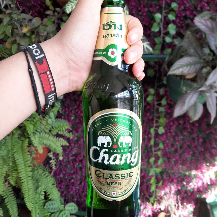 photo of Chang Clásico Beer shared by @ichbinangie on  28 Jan 2021 - review