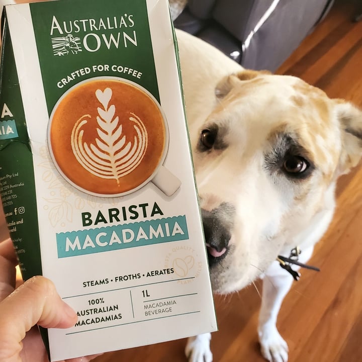 photo of Australia's Own Barista macadamia milk shared by @itsjustmel on  24 Jun 2022 - review