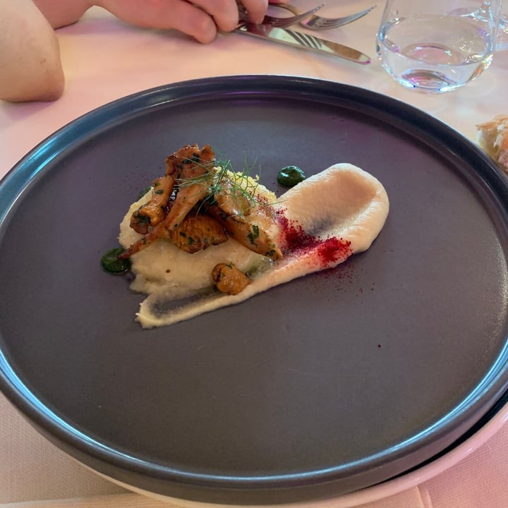 review photo of Ristorante Le Querce Finferli Su Polentina Di Formaggio Di Riso E Crema Di Sedano Rapa shared by @ericaabillion95 on 19 Jun 2022 - review