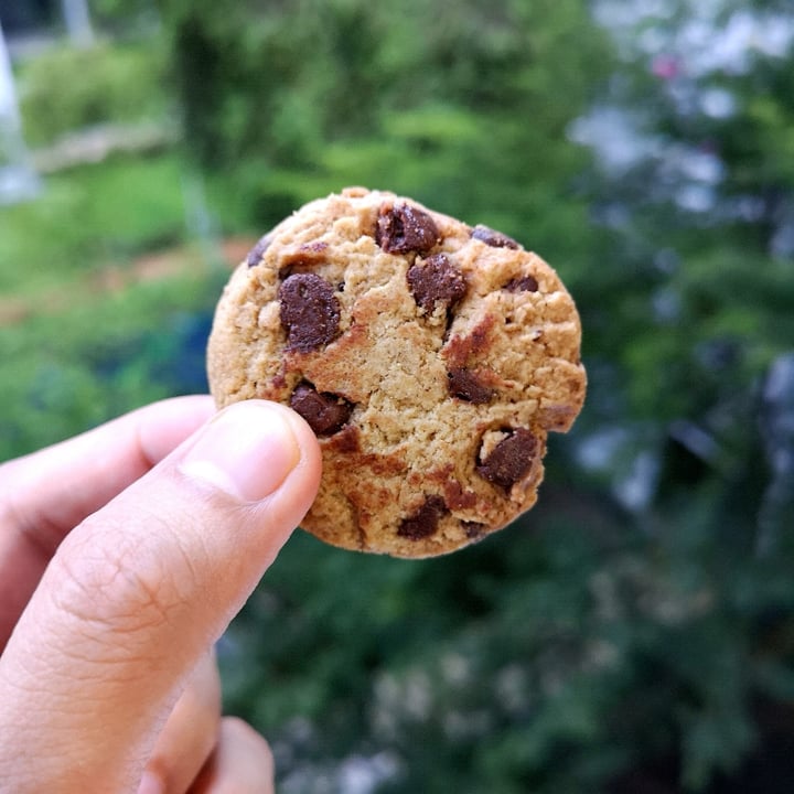 photo of Gullón Sugar Free Choco Chip Biscuits shared by @raffymabanag on  11 Nov 2021 - review