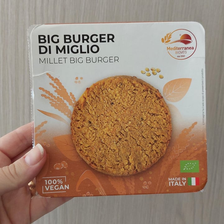 photo of Mediterranea BioVeg Big Burger Di Miglio shared by @twocabbageskitchen on  14 Jun 2022 - review