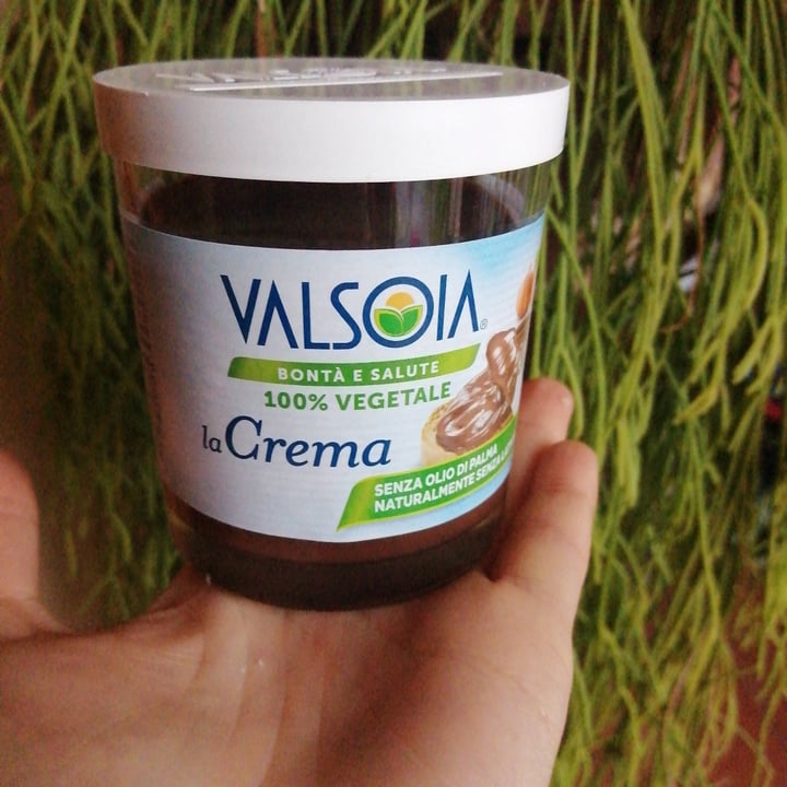 photo of Valsoia La Crema shared by @chiara76 on  27 Apr 2021 - review