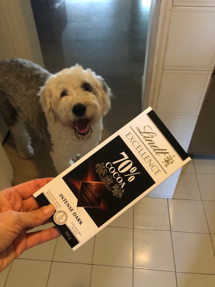 review photo of Lindt 70% Cocoa Dark Chocolate Excellence Bar shared by @brigittestaps on 16 Dec 2019 - review