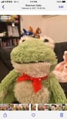 Froggie