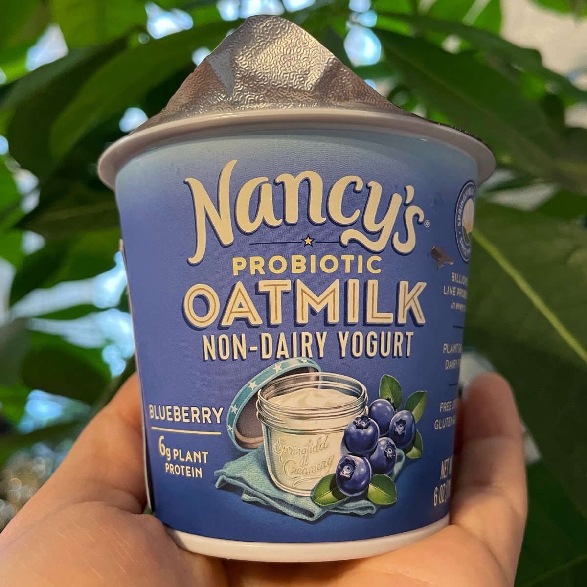 Nancy's Yogurt Probiotic Oatmilk NonDairy Yogurt Blueberry Reviews abillion