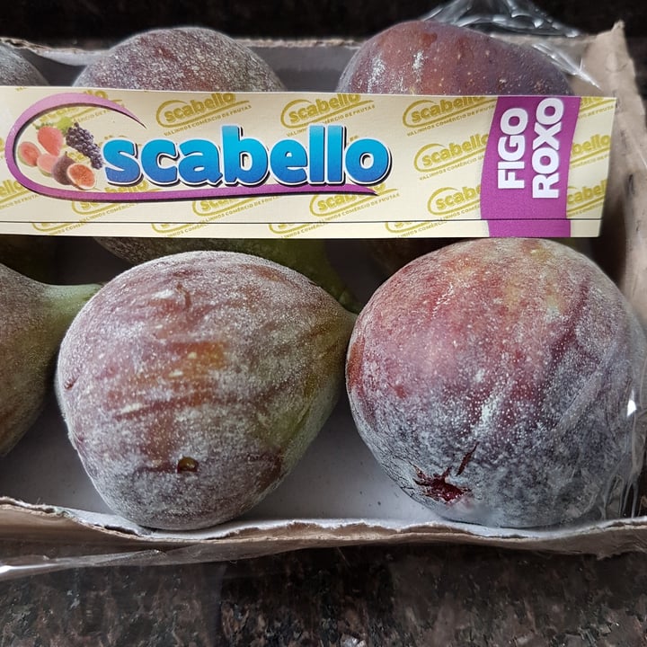 photo of scabello figo roxo shared by @liataubate12345 on  21 Jun 2022 - review