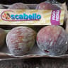scabello
