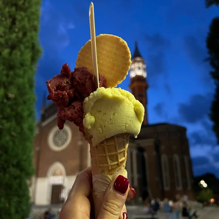 photo of L'albero dei gelati Gelato vegano shared by @iremina23 on  06 Jul 2022 - review