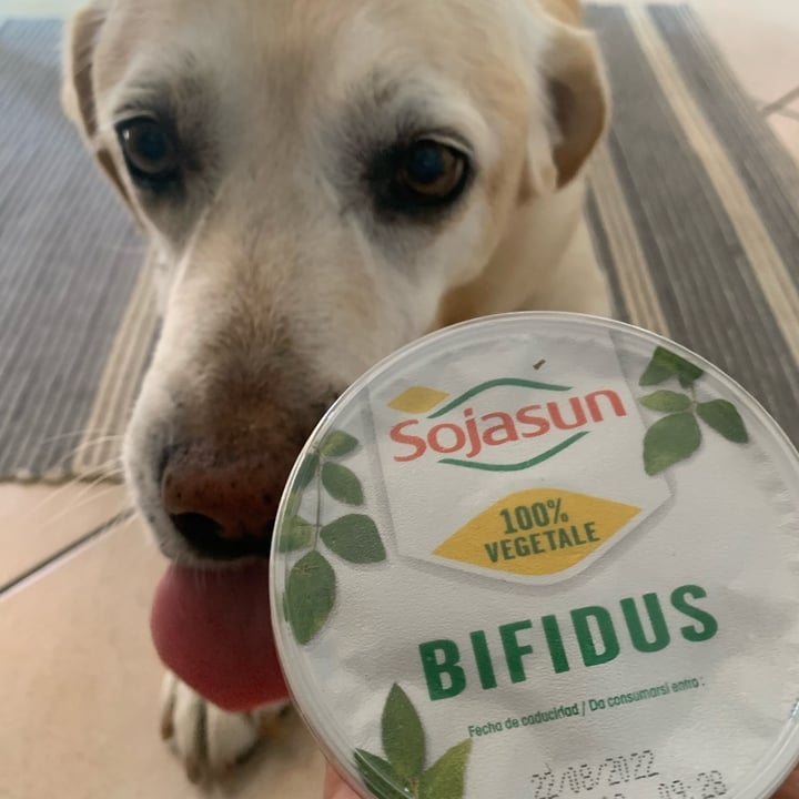 review photo of Sojasun Bifidus Mirtillo shared by @robertabenatti on 30 Jul 2022 - review