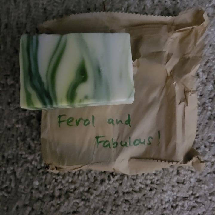 photo of Odd Man Inn Swamp Soap Feral And Fabulous (white tea mint) shared by @rutebega on  31 May 2022 - review