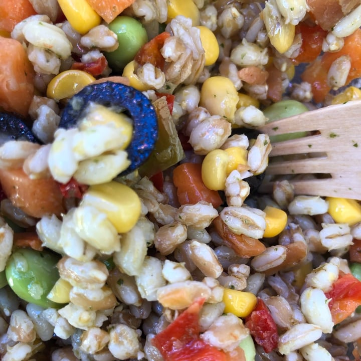 photo of Verso Natura Conad Veg Farro e orzo con verdure shared by @pammm on  13 Jun 2022 - review