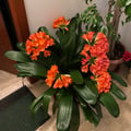 alebk @alebk profile image