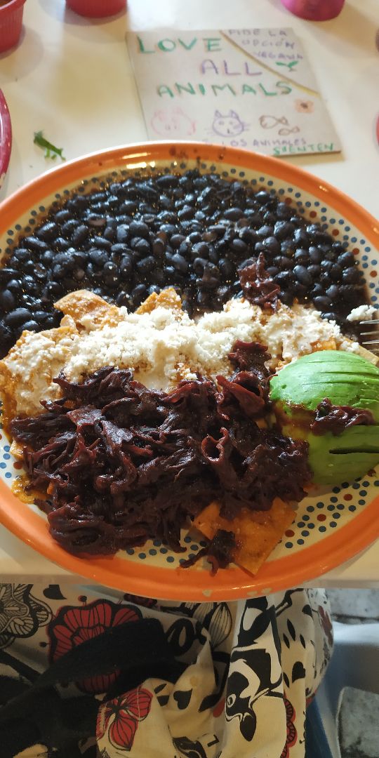 photo of Frida Chilaquiles Chilaquiles Veganos shared by @sofbeat on  21 Jan 2020 - review
