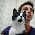 tadegrimberg @tadegrimberg profile image