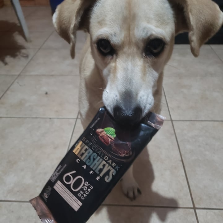 photo of Hershey's Special Dark Chocolate Cafe 60% de Cacau shared by @loute on  05 Jul 2022 - review