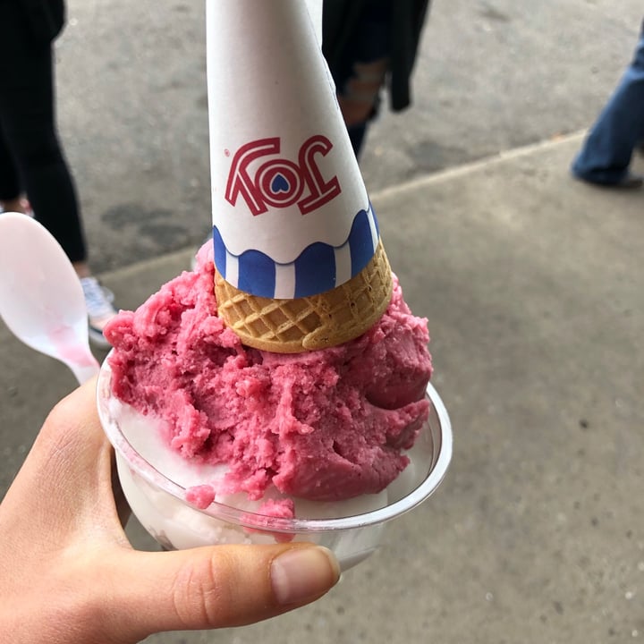 photo of Magill's World of Ice Cream Non-Dairy Ice Cream shared by @amanda4evah on  22 Apr 2021 - review