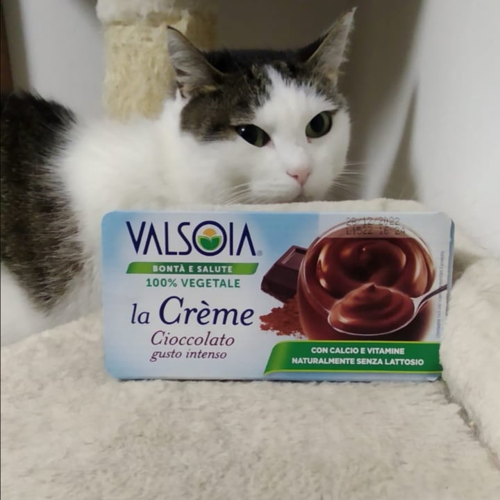 review photo of Valsoia il Budino Cacao shared by @pulce on 04 Sep 2022 - review