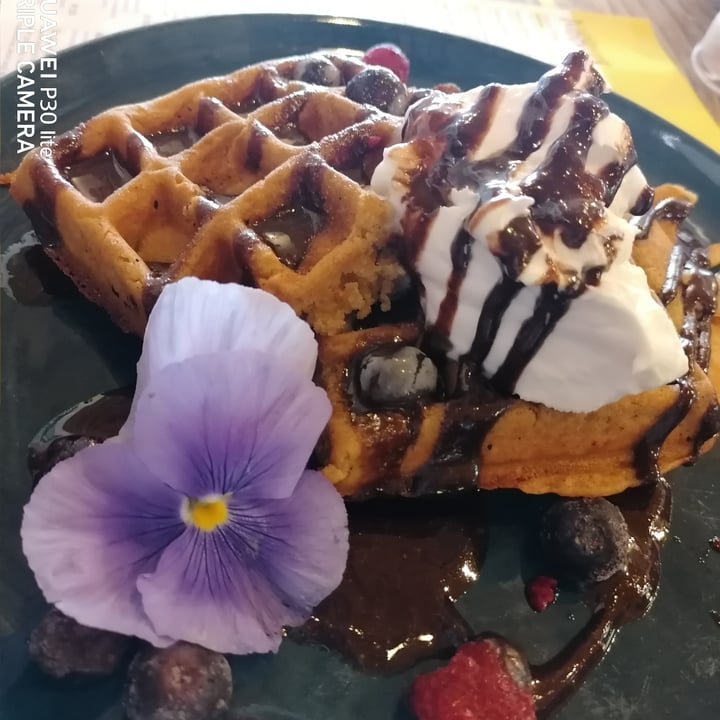 photo of Lexi's Healthy Eatery Vanilla power waffles shared by @twohappyrescuemutts on  07 Mar 2021 - review