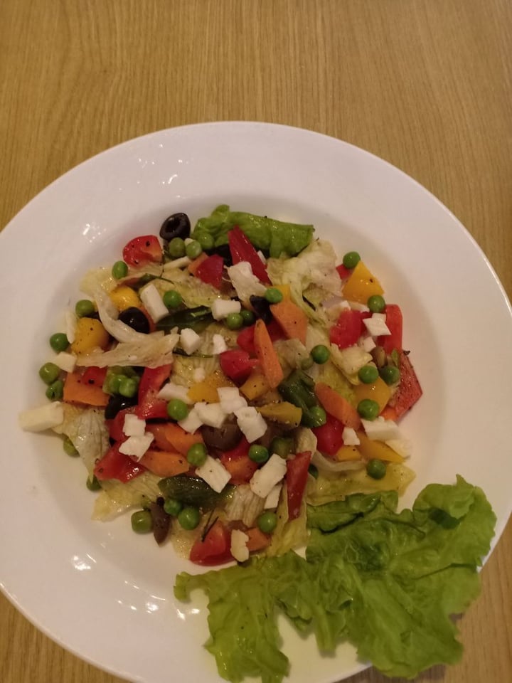 photo of The Zouq Resto Cafe Greek salad shared by @noyonikagogoi1234 on  27 Feb 2020 - review