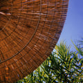 alstaro @alstaro profile image