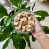Project Açaí