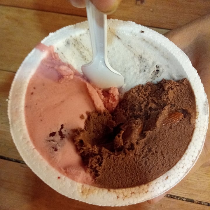 photo of Futuro Veggie Helado shared by @sofiamusical on  05 Mar 2021 - review