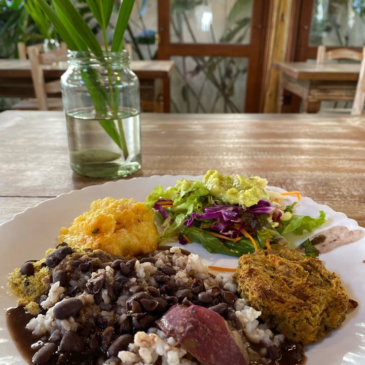 review photo of Espaço Nutrir - Restaurante Vegano com Buffet de Jantar e Pizza na Lagoa da Conceição Buffet vegano shared by @thayspereira on 26 May 2022 - review