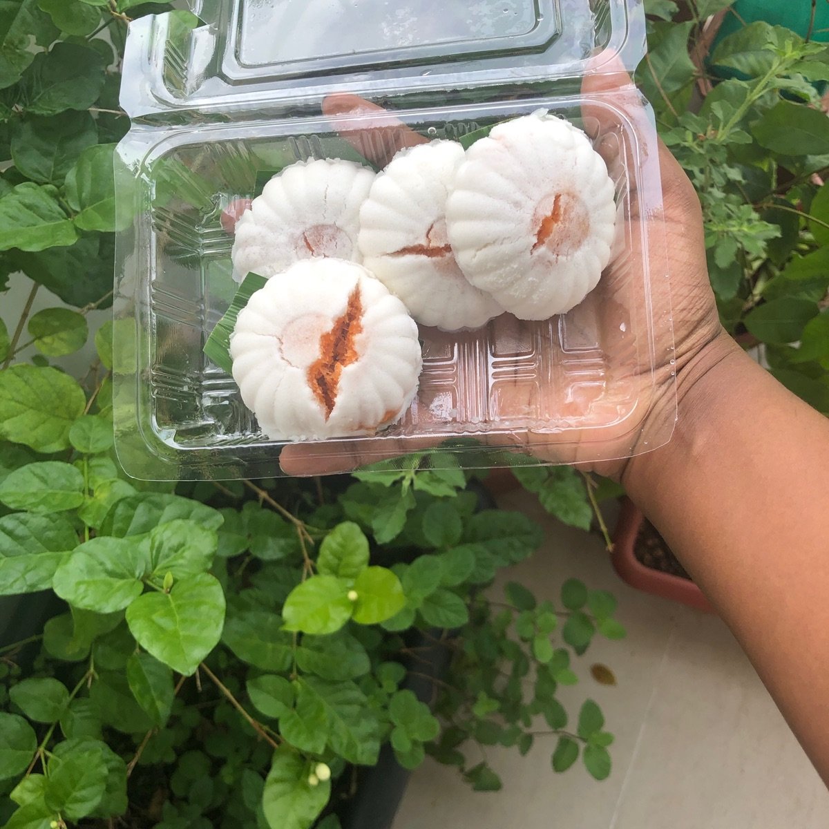 Eastern Rice Dumpling @Bedok Mall, Singapore – Top Rated Vegan Dishes ...