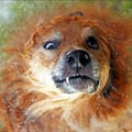 loute @loute profile image