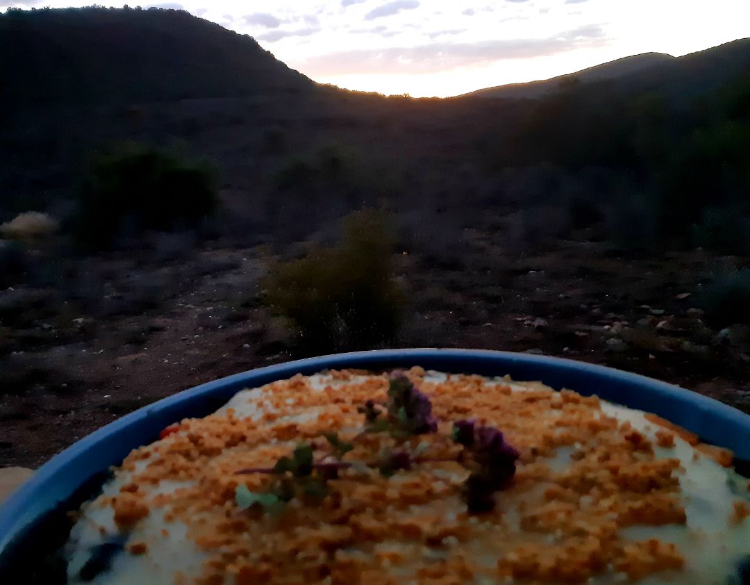 Owl Nibbles Chillibite Falafel Reviews abillion