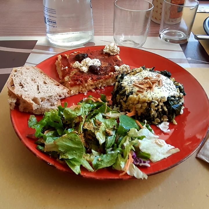 review photo of InFusion - CucinaYogaStore Piatto plus shared by @stef70 on 06 Apr 2022 - review