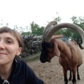 helhel @helhel profile image