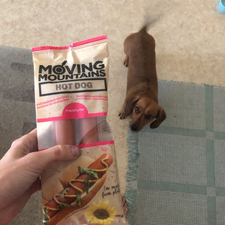 photo of Moving Mountains Hot Dog shared by @annbience on  14 Aug 2020 - review