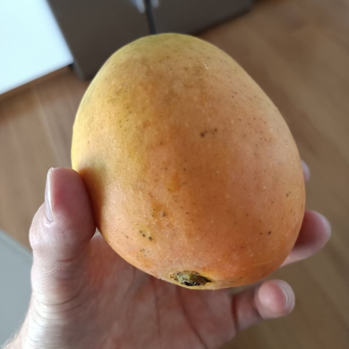 review photo of Sunny Fruit MANGO shared by @ij on 01 Nov 2022 - review
