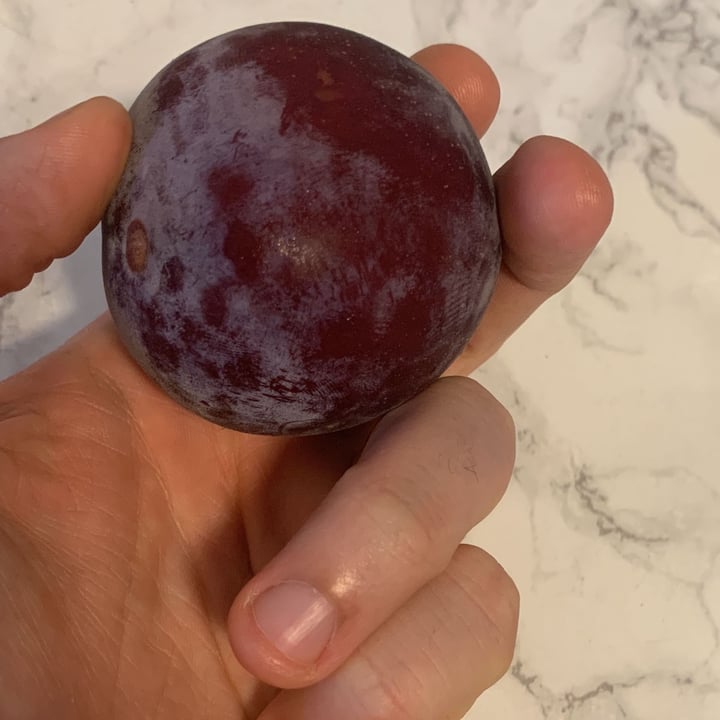 review photo of Family tree Aprium shared by @mattfara50 on 22 Jul 2022 - review