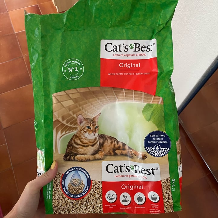 photo of Cat's best Arena para gato. shared by @martimollylucytonina on  03 Sep 2022 - review